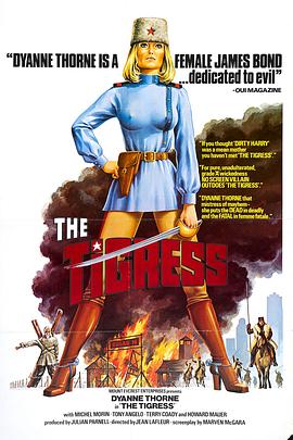 朋友的母亲神马海报剧照